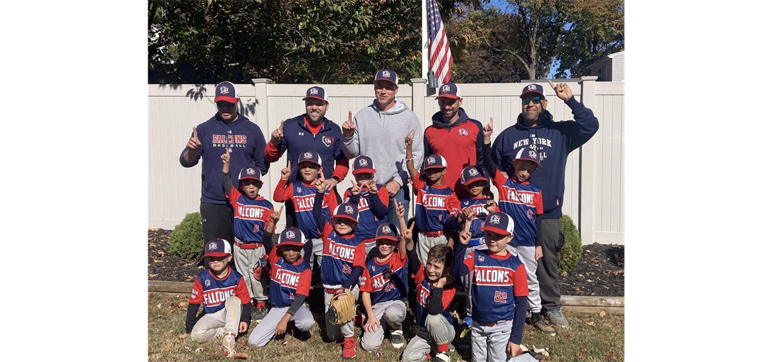 Coach Pitch Travel Program